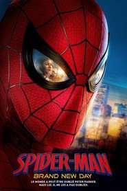Spider-Man : Brand New Day Webrip